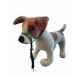 BlackDog Training Halter Small Green